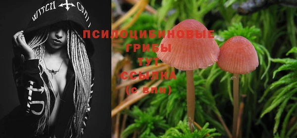 таблы Белоозёрский