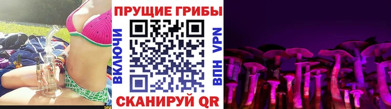 где купить наркотик  OMG зеркало  Псилоцибиновые грибы Cubensis  Нижнекамск 